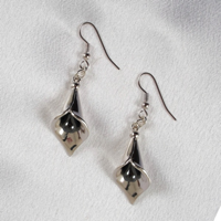 bo22-b-boucles-oreilles-arums-argent